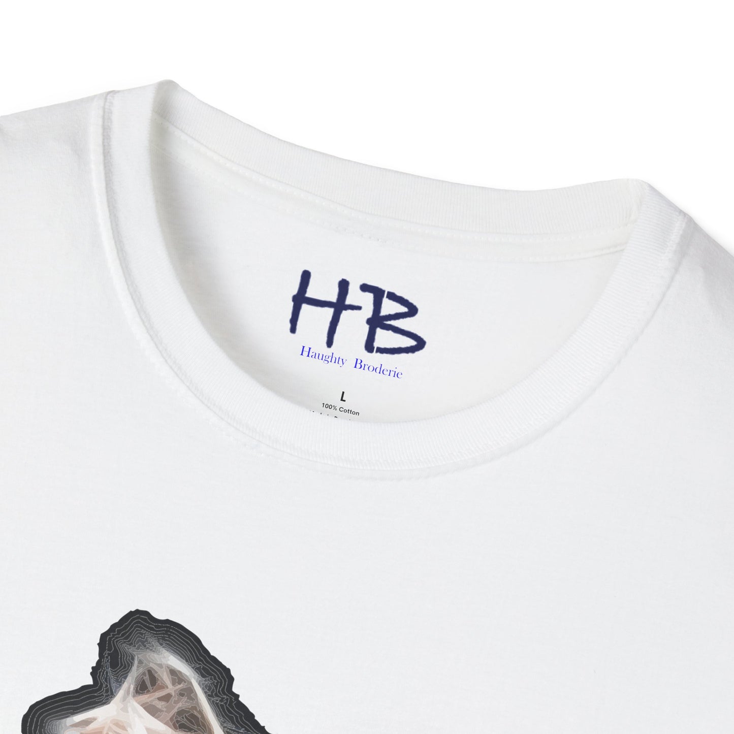 Celebrating Ballet's Artistry Fluid Transitions: The Enchanting Pas de Bourrée