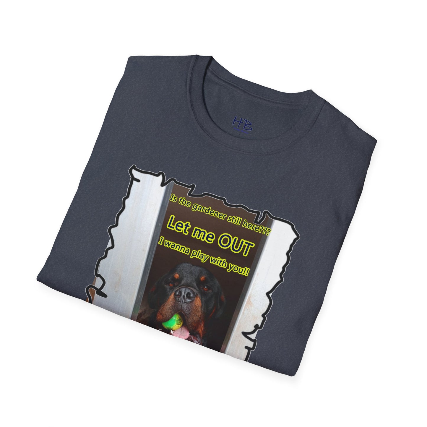 Luke (Male Rottie) with ball begging to play