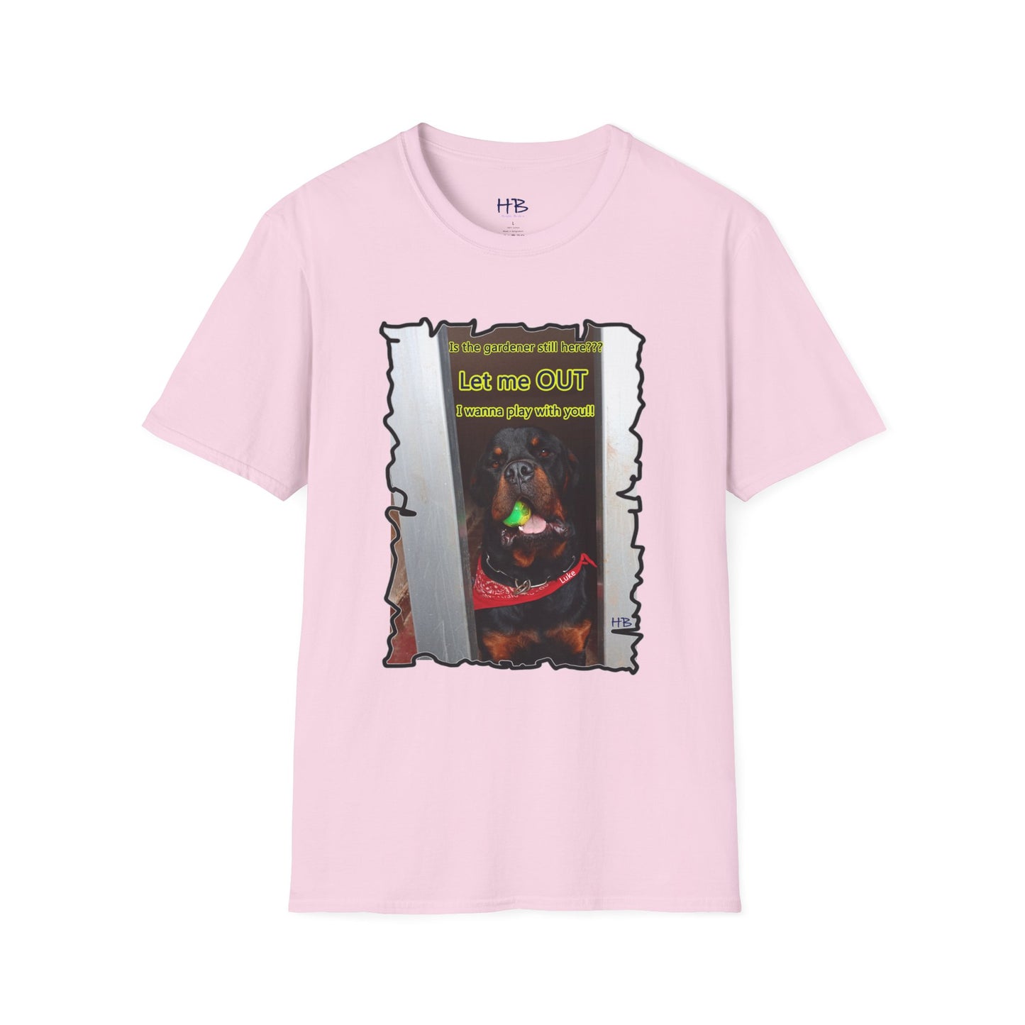 Luke (Male Rottie) with ball begging to play