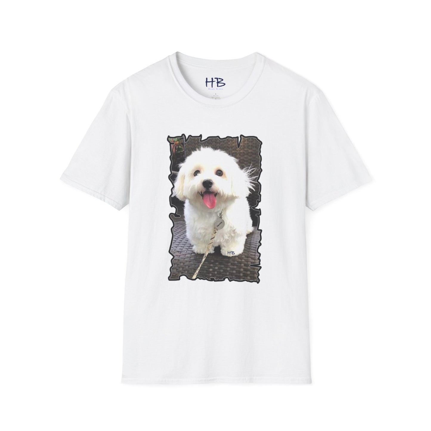 Bichon Malthese - Hermes with big smile and pink tongue