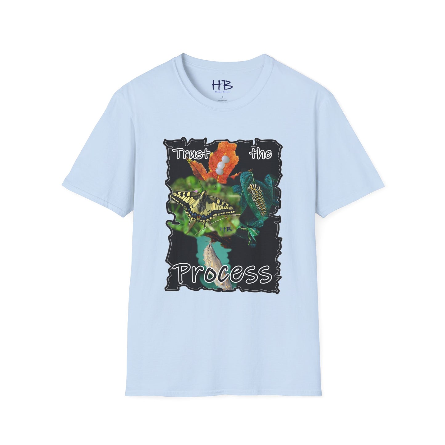 A Visual Odyssey of the Metamorphosis Marvel; The Circle of Life using Nature's Miracle to Embrace the Journey and Trust the Process from Eggs to Wings