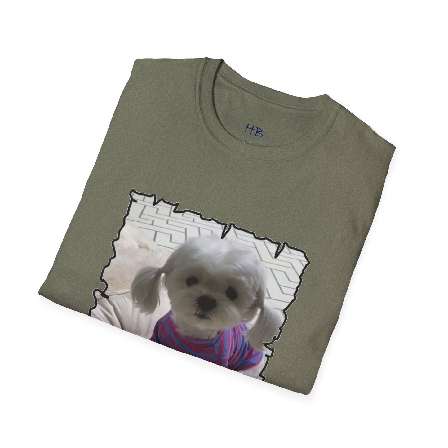 Bichon Maltese extra cute ponytails