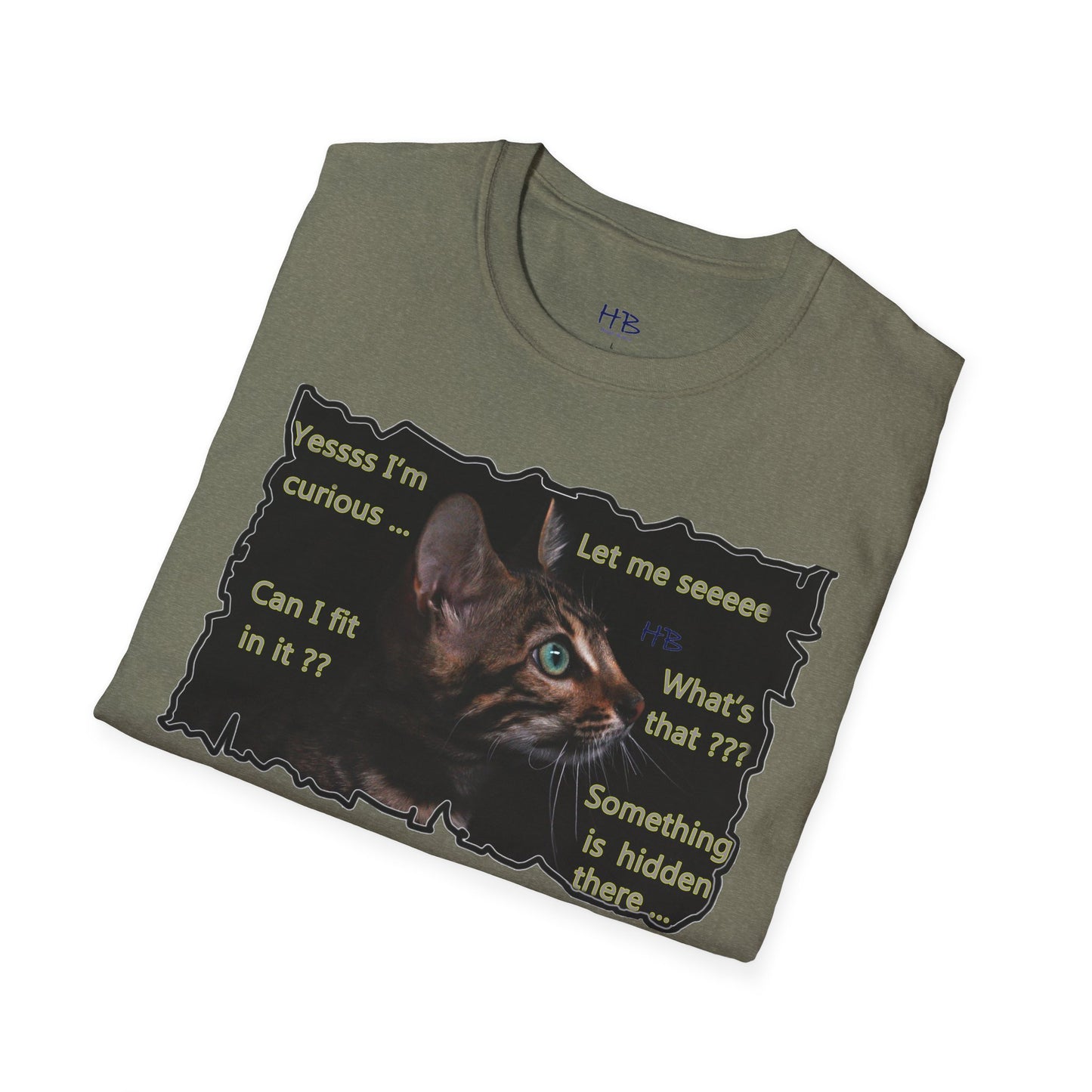 Kitten curiosity and care free