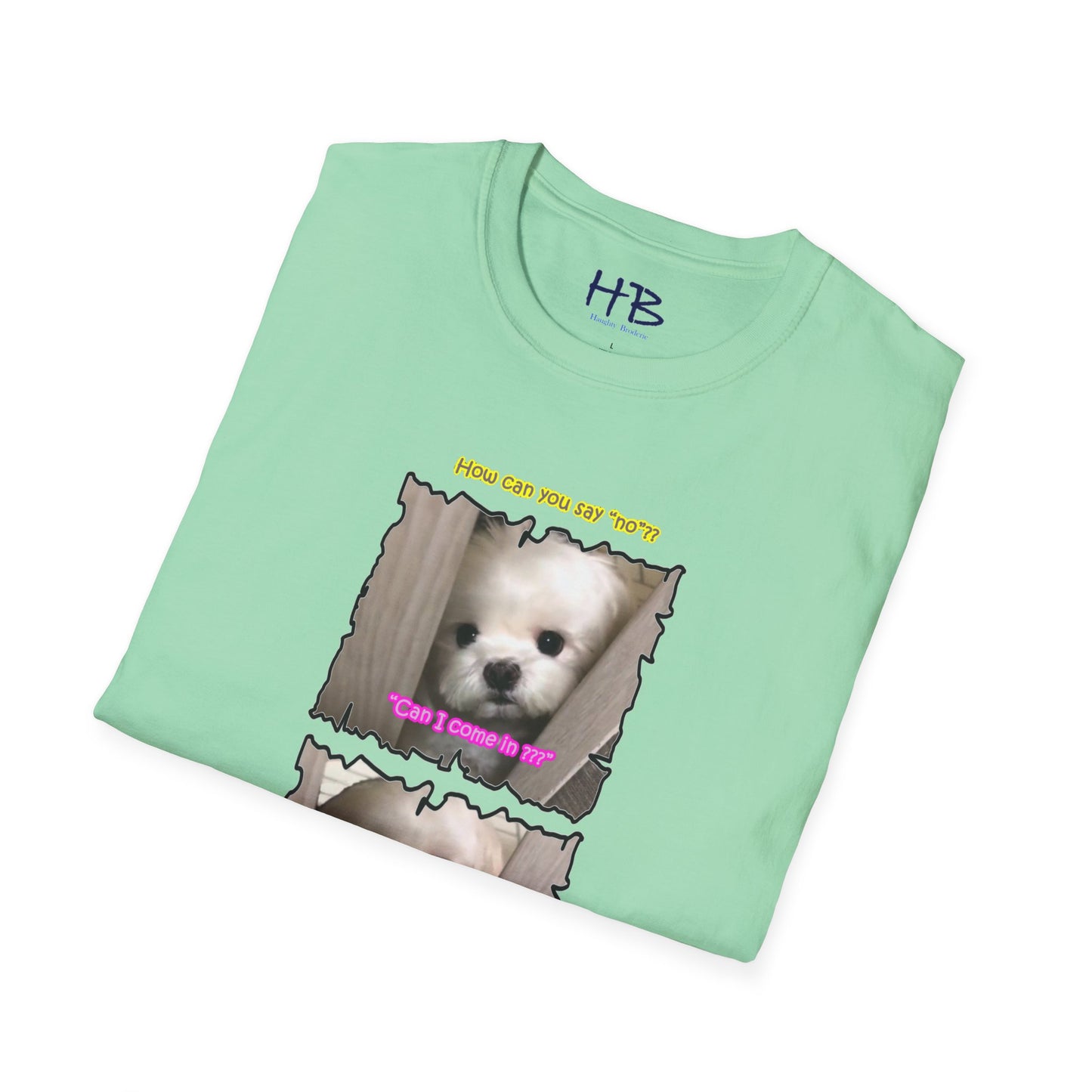 Cutest white Bichon Maltese wanting to play