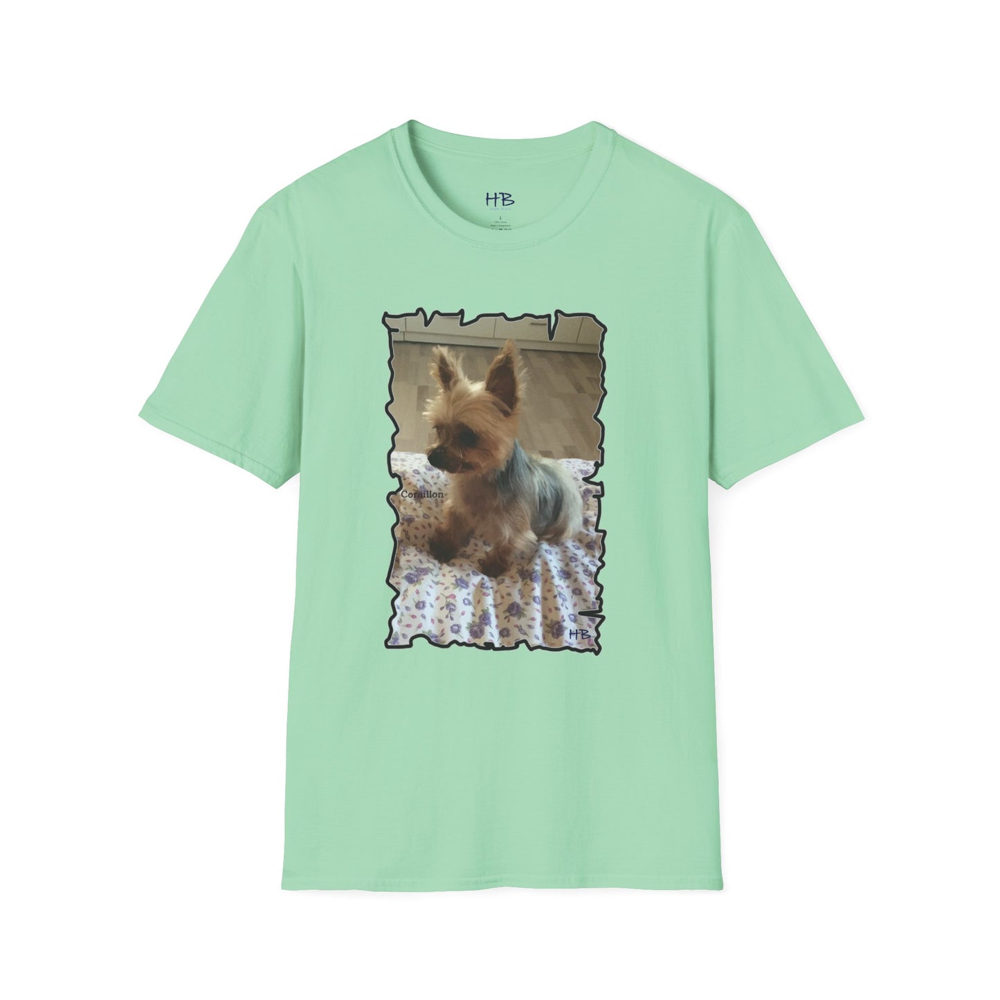 Corail the Yorkshire Toy little baby