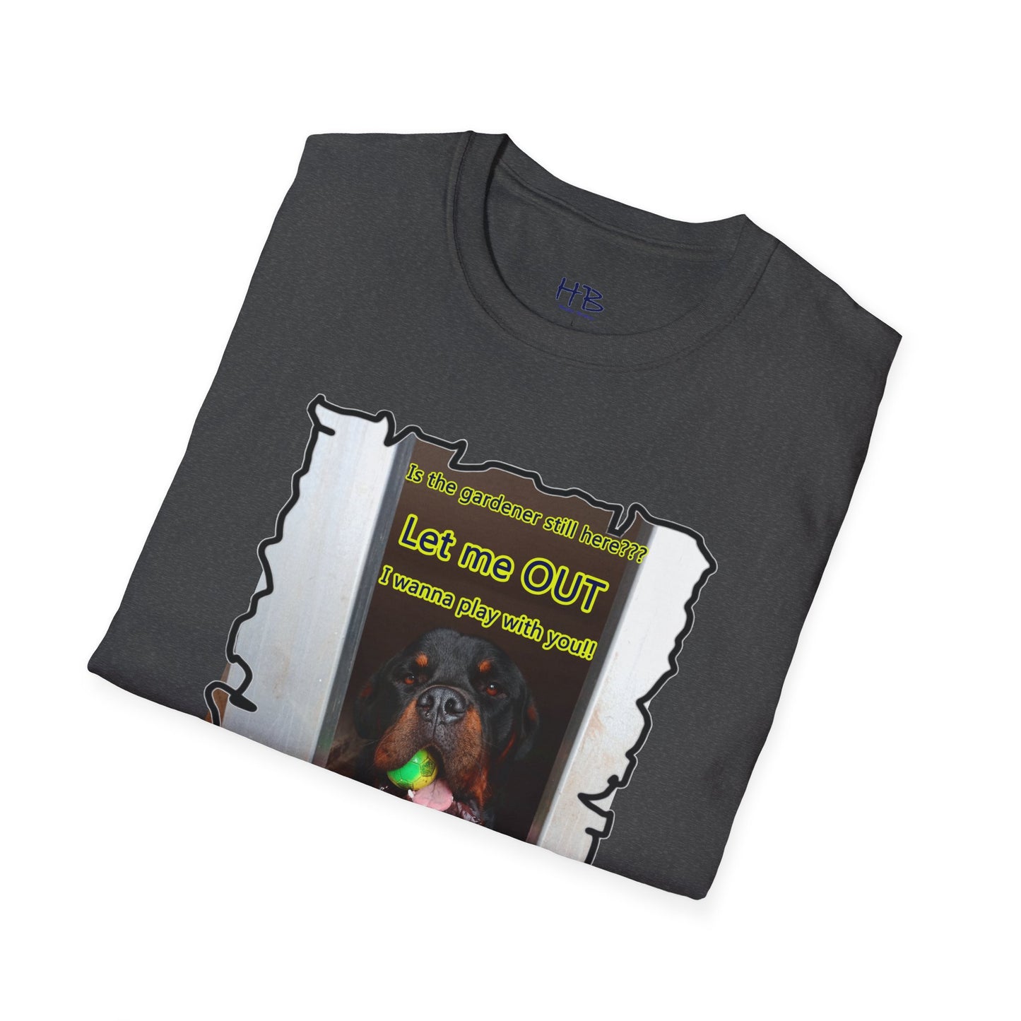 Luke (Male Rottie) with ball begging to play