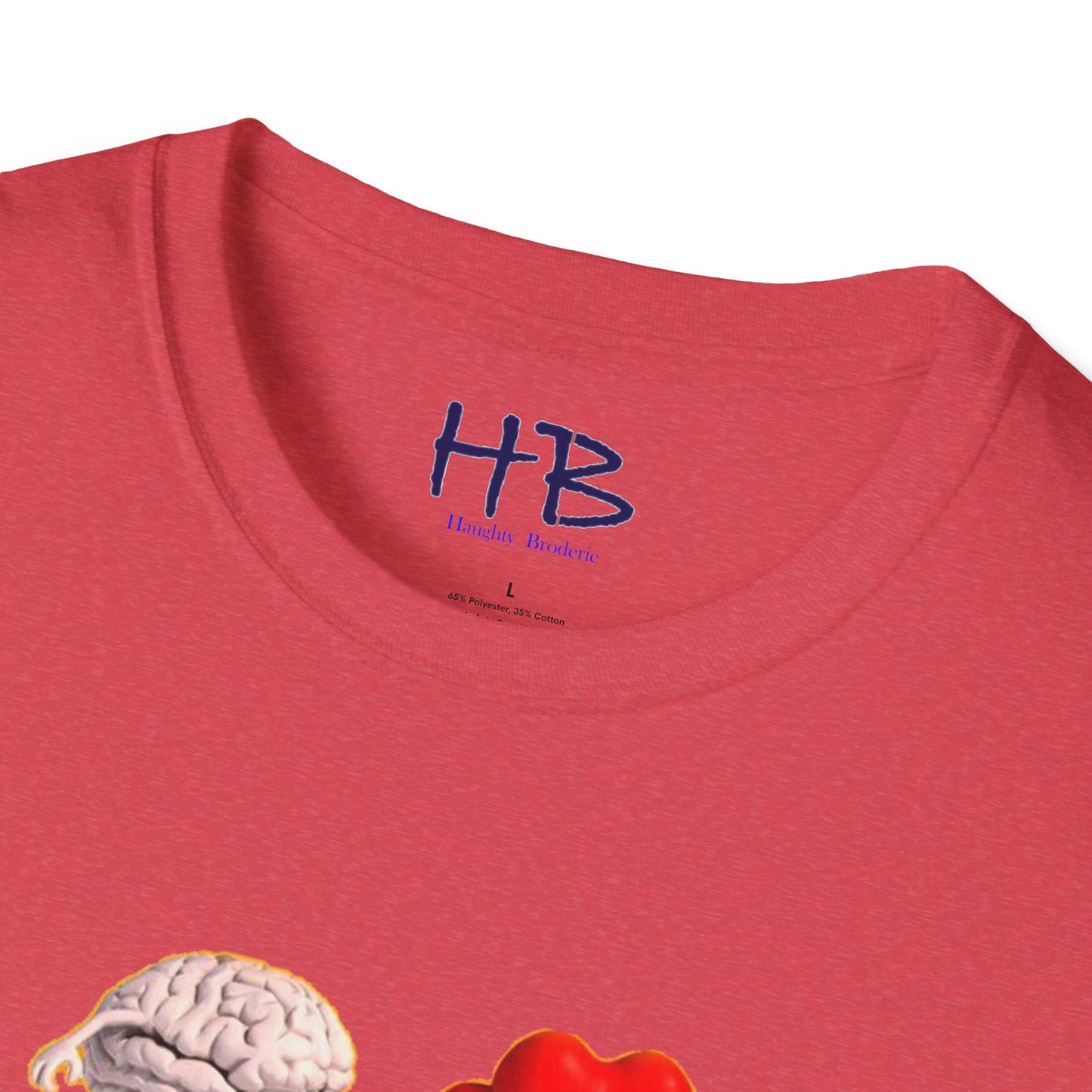 Embracing the Heart-Mind Connection: A Visual Reminder to Follow Your Heart with brain's logic