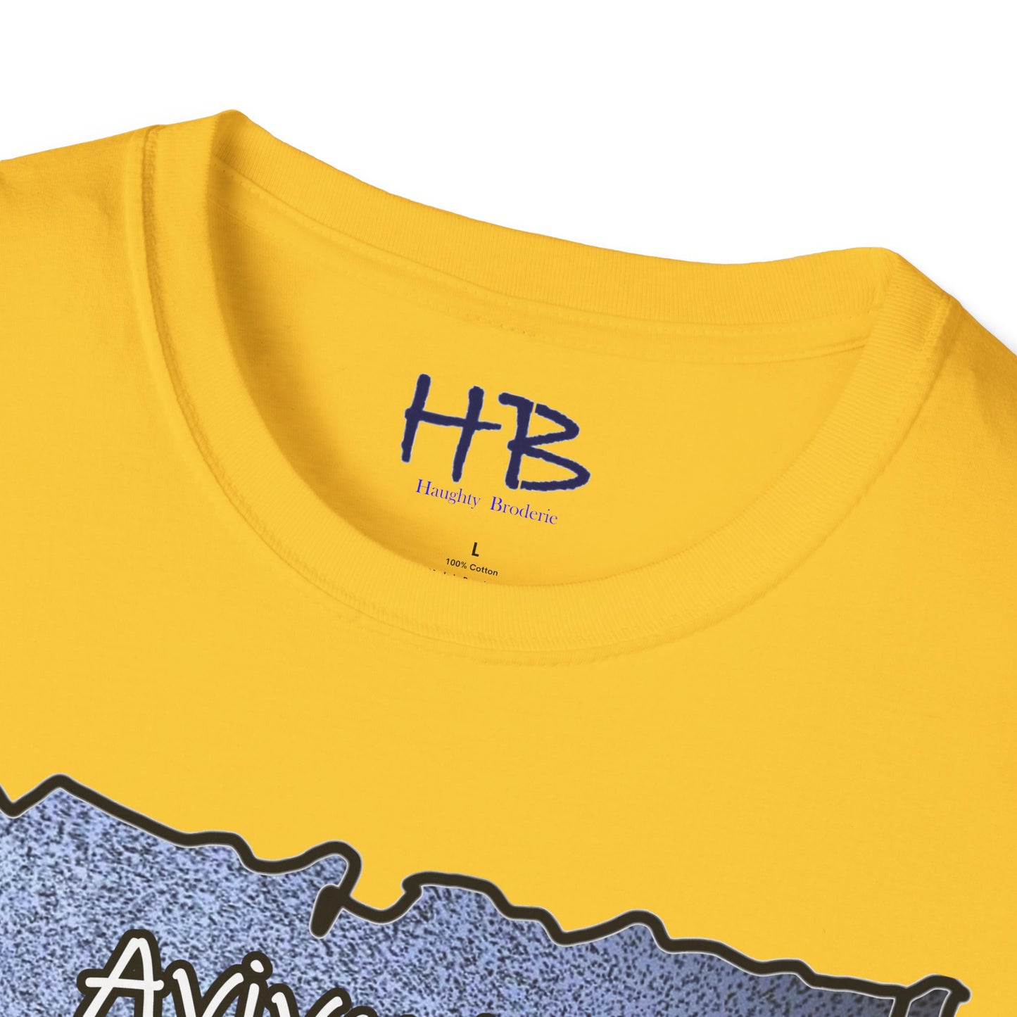 Feathered Aerial Aviary Cyclone; Plumage Tornado of Flight Aerial Ballet