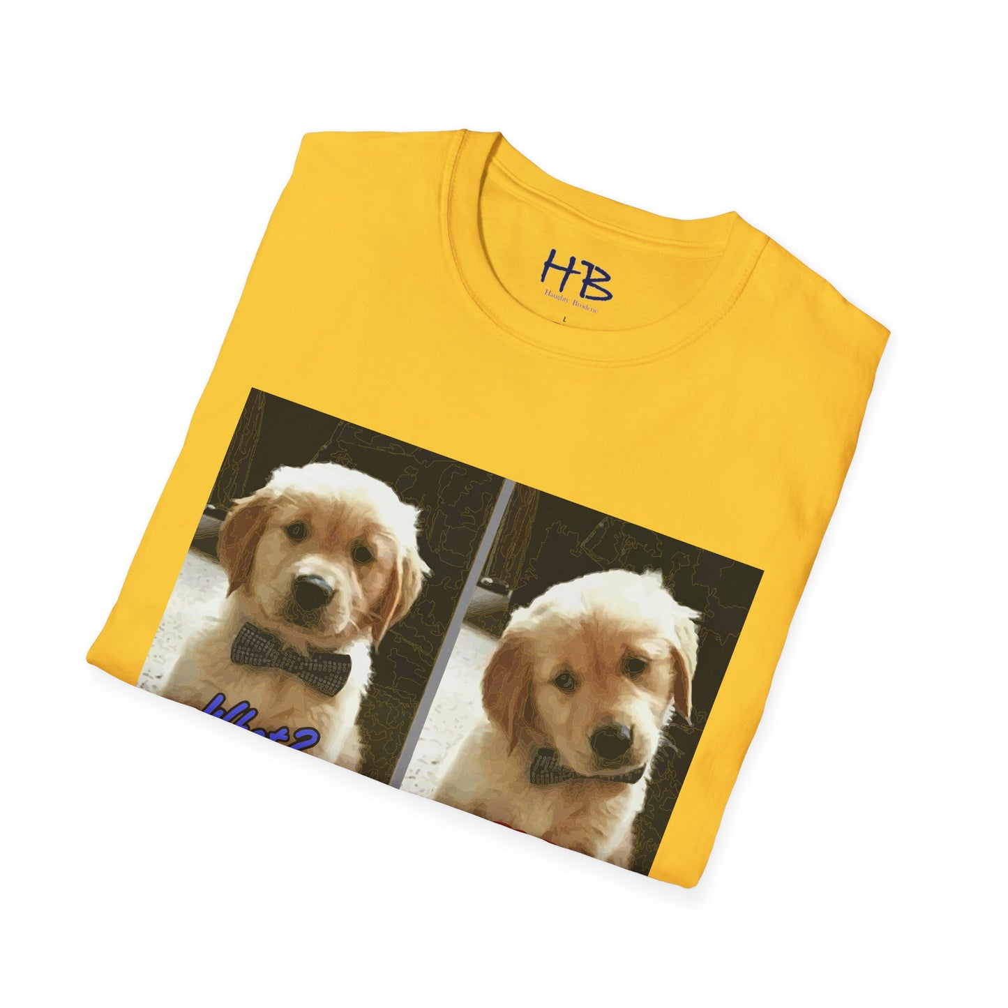 Labbie puppy asking "FOR REAL??????"