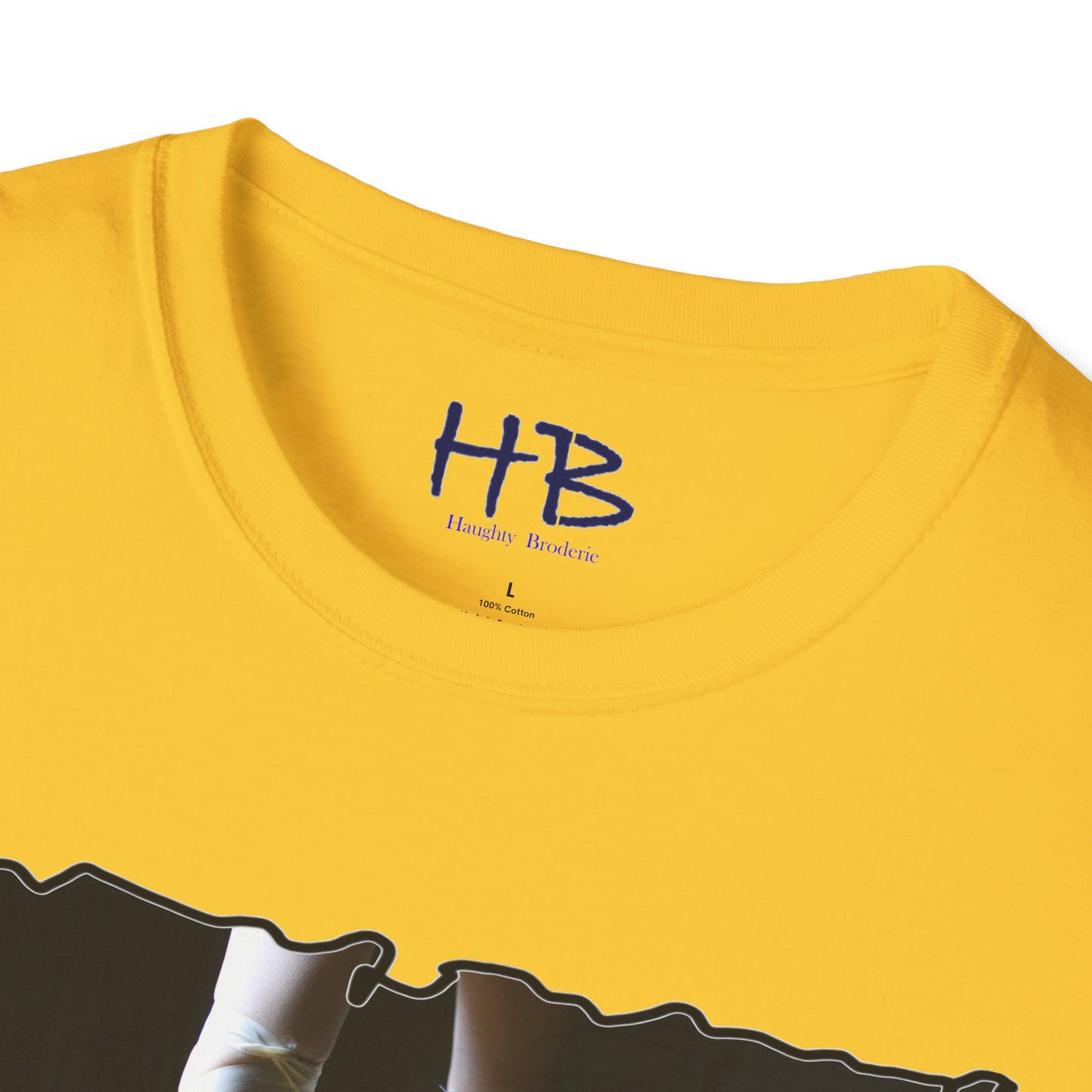 Embracing the Symphony Splendor in Style:  Unleashing Ballet's Charisma