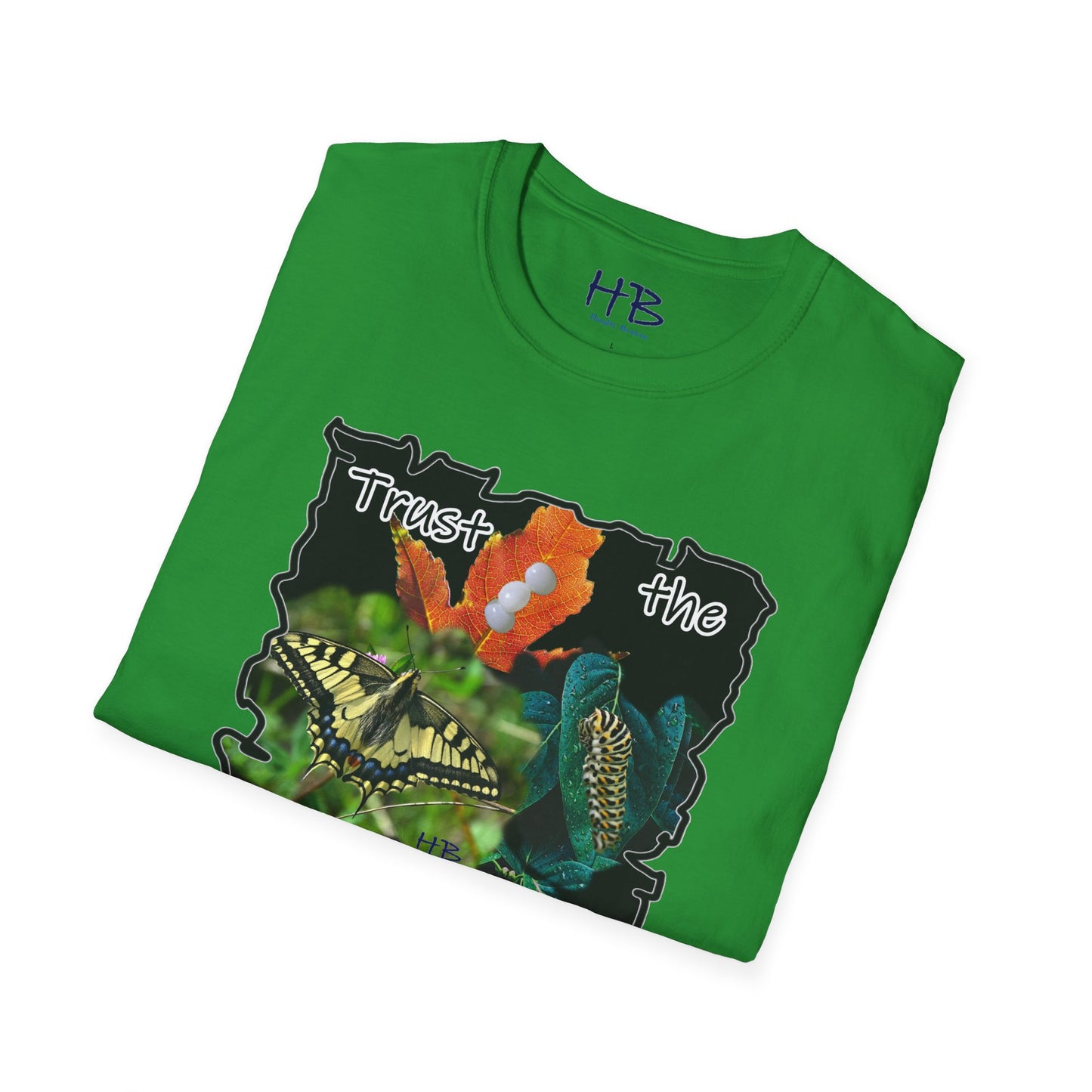 A Visual Odyssey of the Metamorphosis Marvel; The Circle of Life using Nature's Miracle to Embrace the Journey and Trust the Process from Eggs to Wings