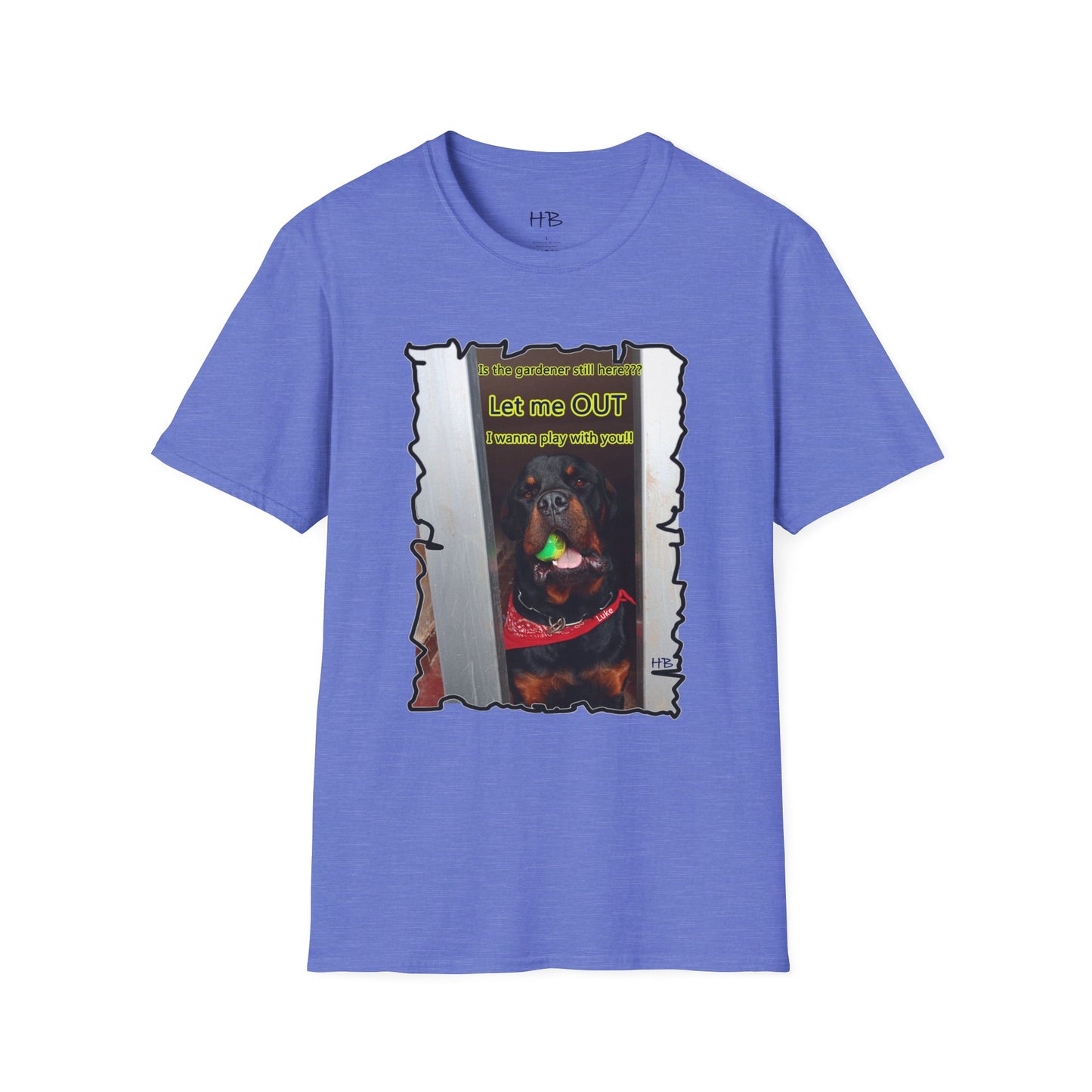 Luke (Male Rottie) with ball begging to play