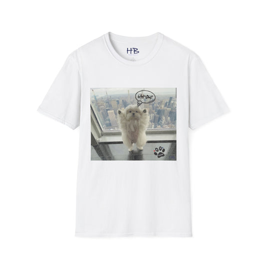 Bichon Maltese paws in the air in trouble with K9 dog patrol